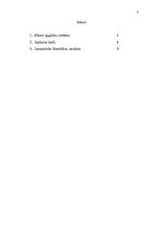 Referāts 'Gāzes apgādes sistēma', 2.