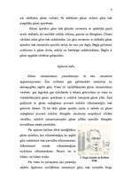 Referāts 'Gāzes apgādes sistēma', 6.