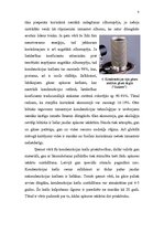 Referāts 'Gāzes apgādes sistēma', 8.