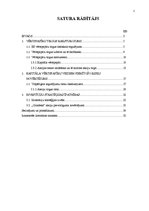 Referāts 'Eiropa Savienības kapitāla vērtspapīri', 2.