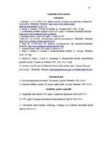 Referāts 'Pasīvo vēlēšanu tiesību ierobežojumi Latvijā', 16.