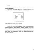 Prakses atskaite 'Restorānu prakse viesnīcā "City Hotel Bruņinieks"', 20.