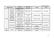 Prakses atskaite 'Restorānu prakse viesnīcā "City Hotel Bruņinieks"', 24.