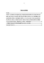 Referāts 'Pirmā pasaules programmētaja Ada Lavleisa', 2.