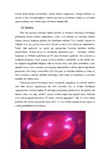 Referāts 'Informāciju tehnoloģijas un ētika', 17.