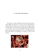 Referāts 'Informāciju tehnoloģijas un ētika', 18.