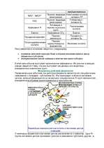 Konspekts 'Ферменты ', 2.