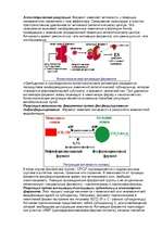 Konspekts 'Ферменты ', 8.