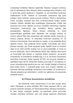 Referāts 'Enerģijas vadības stratēģijas un energoefektivitāte', 12.