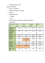 Biznesa plāns 'Individuālā komersanta teātra skola "Autumn Monologue"', 5.