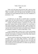 Eseja 'Vērtības māsu darbā', 2.