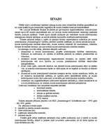 Prakses atskaite 'Muitas kontrolpunkts "Sarkandaugava"', 3.