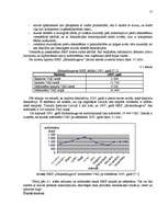 Prakses atskaite 'Muitas kontrolpunkts "Sarkandaugava"', 17.
