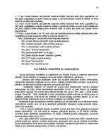 Prakses atskaite 'Muitas kontrolpunkts "Sarkandaugava"', 20.