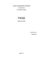 Referāts 'Paklāji', 1.