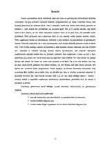 Referāts 'Datortīkli', 4.