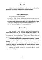 Referāts 'Datortīkli', 5.