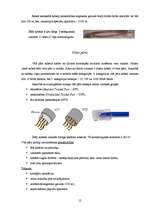 Referāts 'Datortīkli', 12.