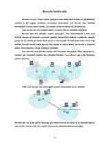 Referāts 'Datortīkli', 17.