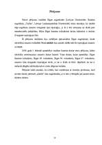 Referāts 'Datortīkli', 18.