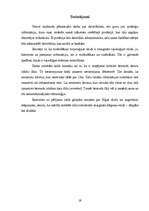 Referāts 'Datortīkli', 19.