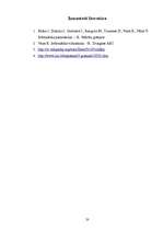 Referāts 'Datortīkli', 20.