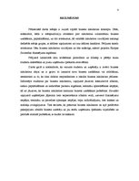 Referāts 'Cēsu biznesa inkubatora mērķauditoriju izpēte un sasniegšana', 4.