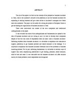 Referāts 'Cēsu biznesa inkubatora mērķauditoriju izpēte un sasniegšana', 5.