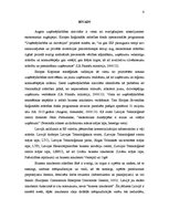 Referāts 'Cēsu biznesa inkubatora mērķauditoriju izpēte un sasniegšana', 6.