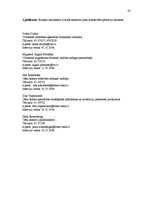 Referāts 'Cēsu biznesa inkubatora mērķauditoriju izpēte un sasniegšana', 43.