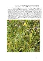 Referāts 'Bioloģiskā daudzveidība lauksaimniecībā izmantojamajās zemēs', 13.