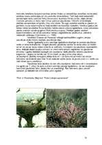 Referāts 'Bioloģiskā daudzveidība lauksaimniecībā izmantojamajās zemēs', 20.