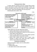 Referāts 'Uzņēmuma maksātnespēja', 2.