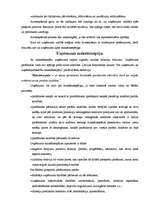 Referāts 'Uzņēmuma maksātnespēja', 4.