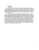 Referāts 'Grafiti', 3.