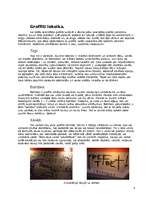 Referāts 'Grafiti', 6.