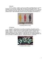 Referāts 'Grafiti', 7.