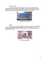 Referāts 'Grafiti', 8.