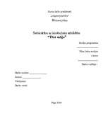 Biznesa plāns 'Biznesa plāns uzkopšanas servisam', 1.