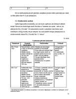 Biznesa plāns 'Biznesa plāns uzkopšanas servisam', 22.