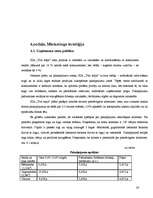 Biznesa plāns 'Biznesa plāns uzkopšanas servisam', 26.