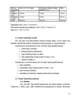 Biznesa plāns 'Biznesa plāns uzkopšanas servisam', 27.