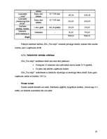 Biznesa plāns 'Biznesa plāns uzkopšanas servisam', 29.