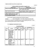 Biznesa plāns 'Biznesa plāns uzkopšanas servisam', 33.