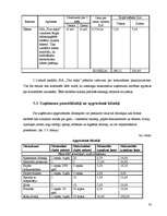 Biznesa plāns 'Biznesa plāns uzkopšanas servisam', 35.