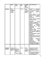 Biznesa plāns 'Biznesa plāns uzkopšanas servisam', 39.