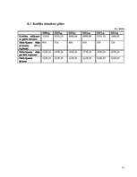 Biznesa plāns 'Biznesa plāns uzkopšanas servisam', 51.