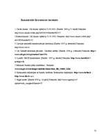 Biznesa plāns 'Biznesa plāns uzkopšanas servisam', 52.