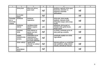 Referāts 'Darba vietas pārbaude un tajā esošo darba vides riska faktoru noteikšana', 8.