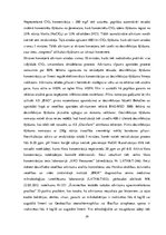 Prakses atskaite 'Bīstamo atkritumu pārstrādes uzņēmums', 24.